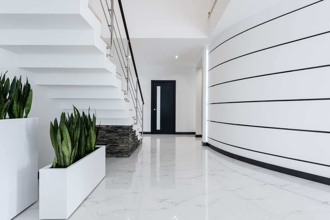white floors in a hallway with snake plant and stairs