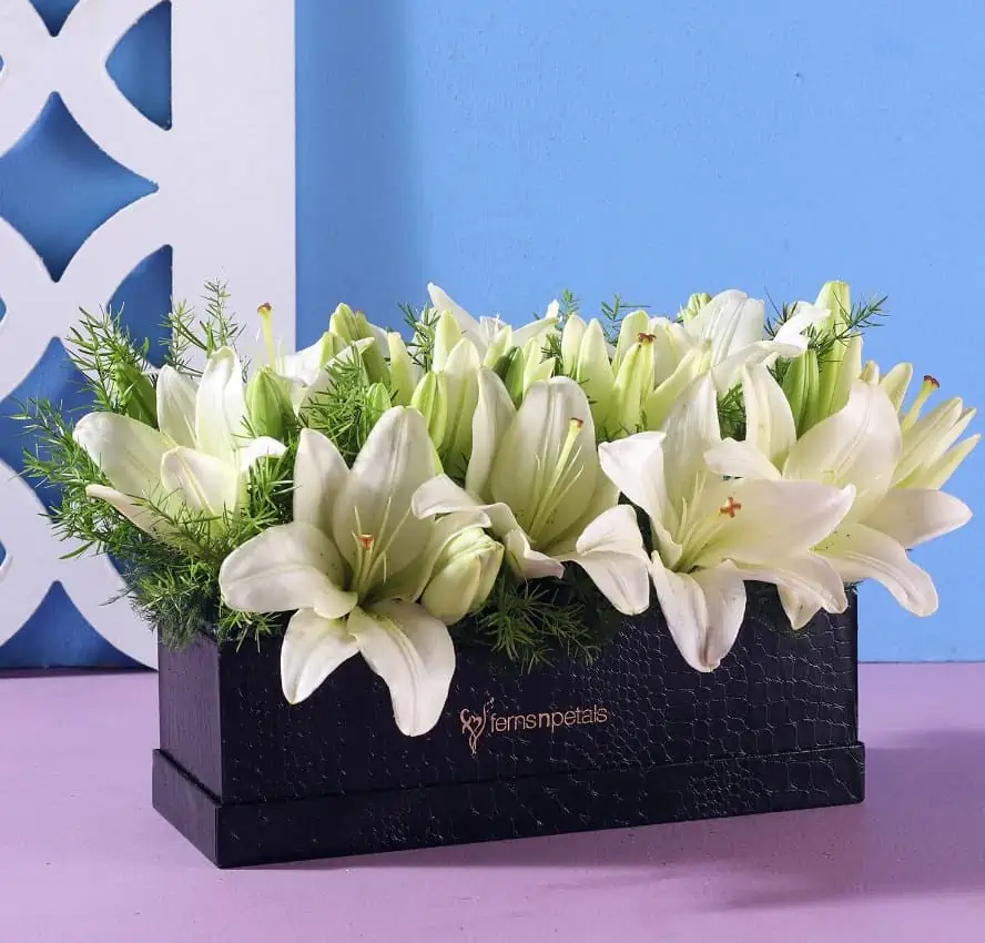white flowers in a black box