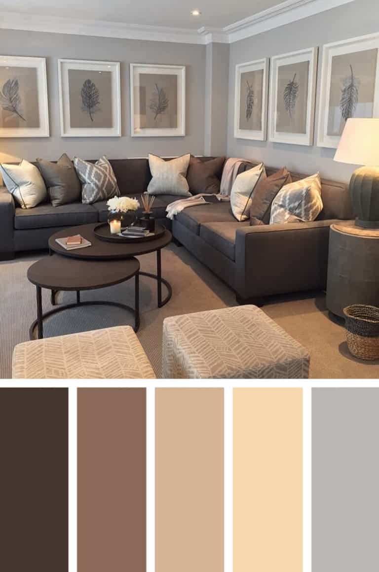 Home colours of a living room with light grey walls, a white ceiling and black L shaped sofa