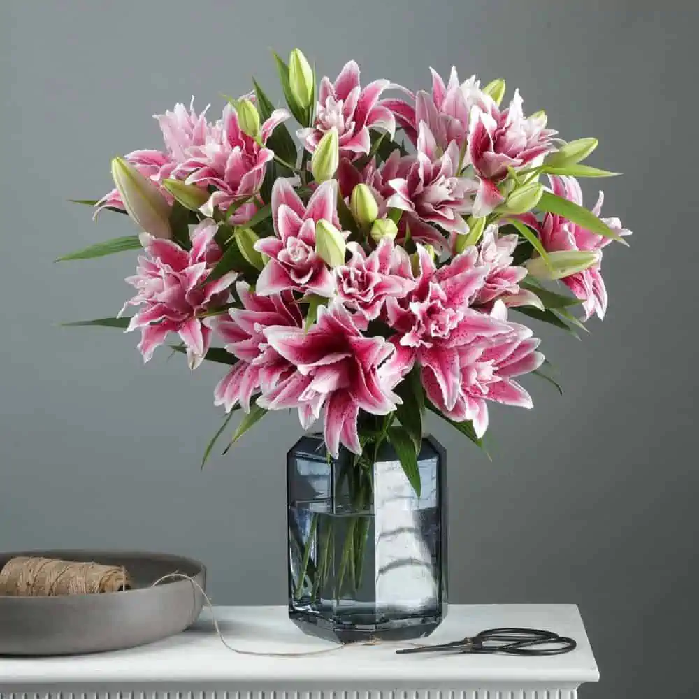 Pink and white lily flowers image in a glass vase