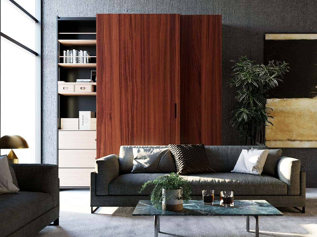 brown wardrobe door with grey and black sofa