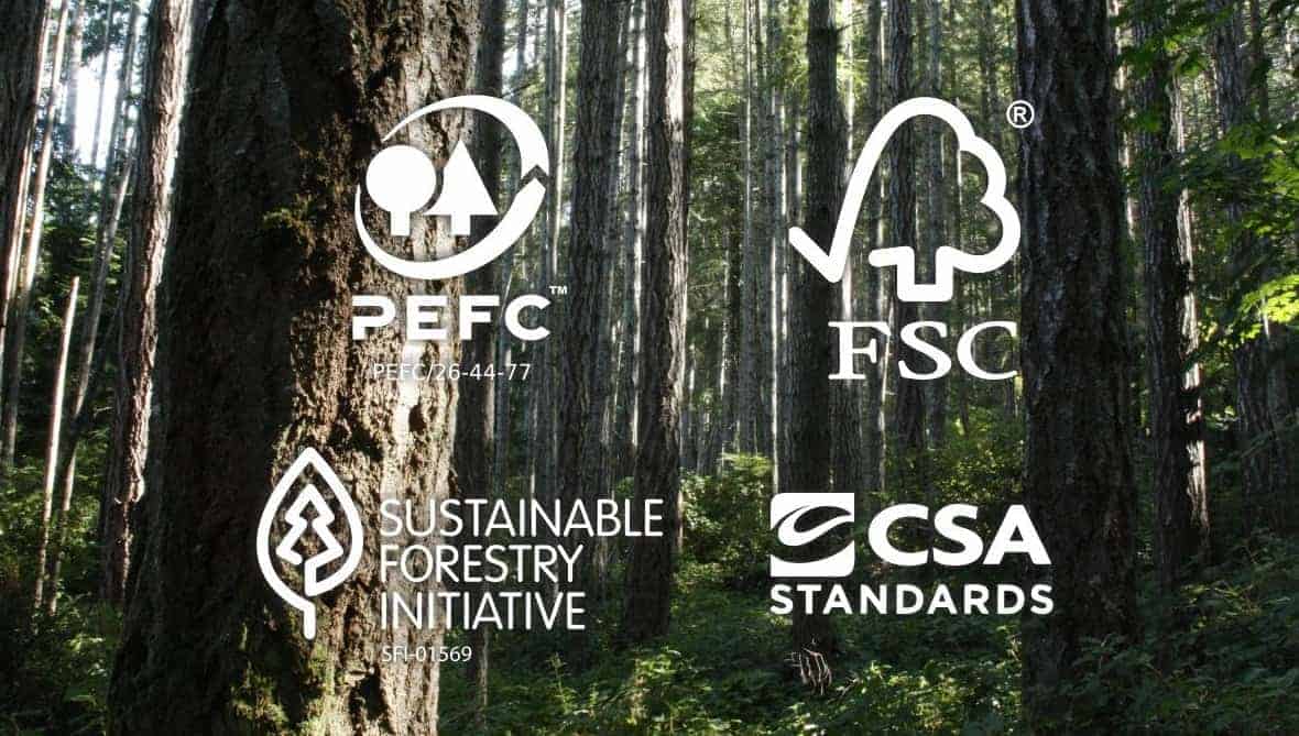 canadian wood on world nature conservation day about sustainable forest management