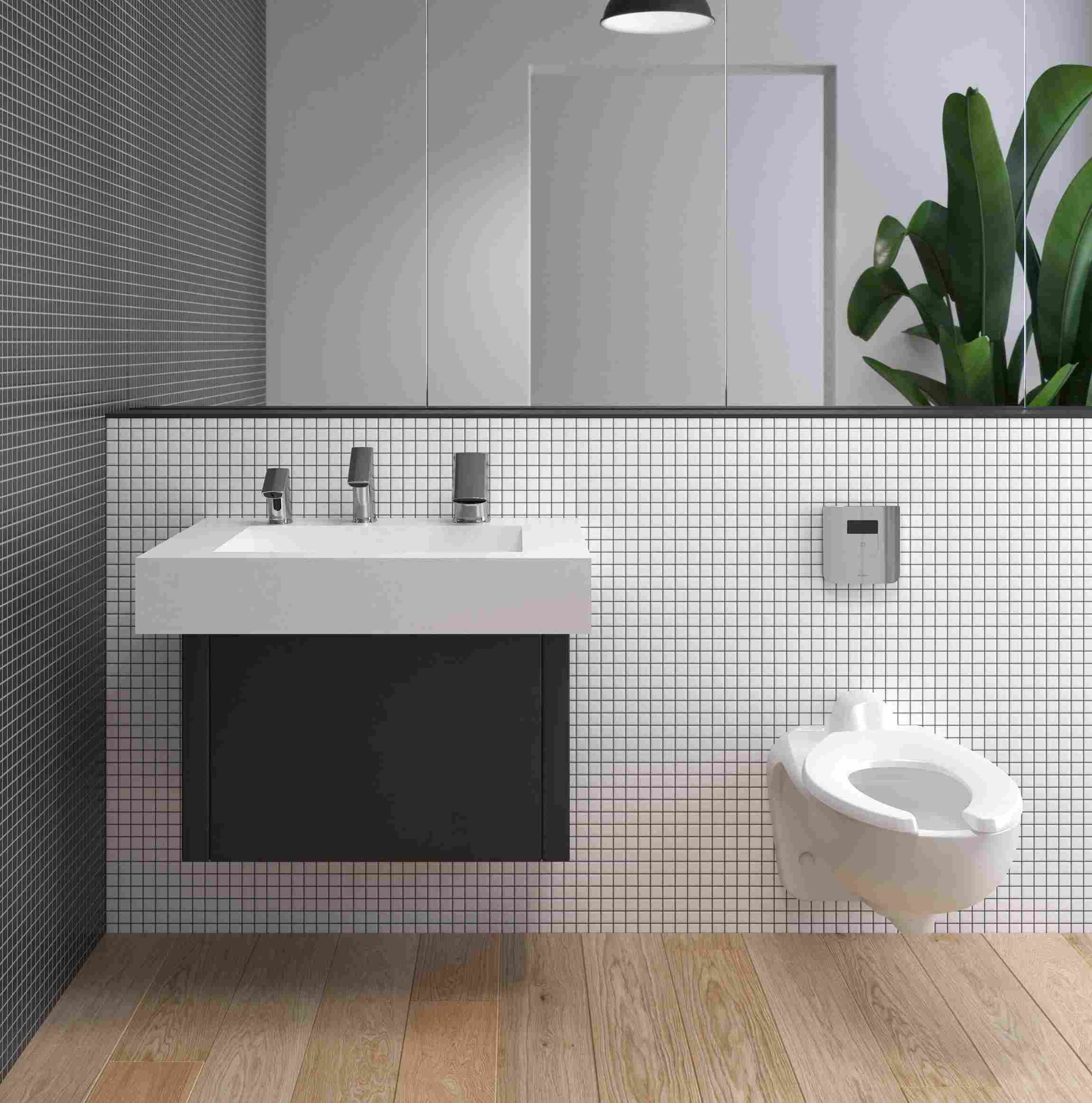 wash basin and water closet with water efficient bathroom fixtures and plumbing technology made by plumbing manufacturers- Sloan India