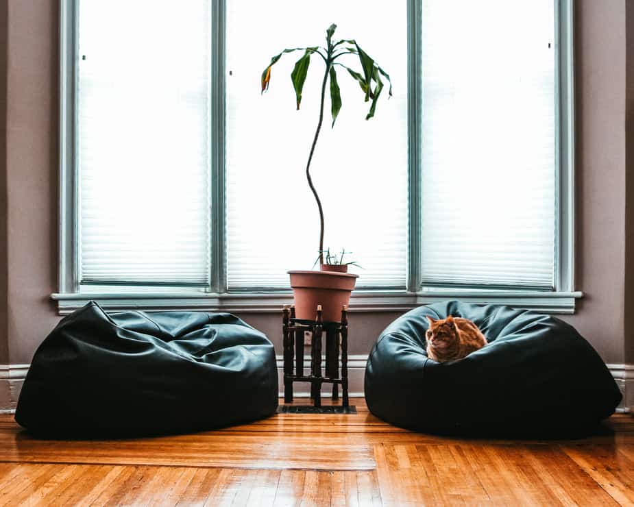 two black leatherette beanbags with wood flooring
