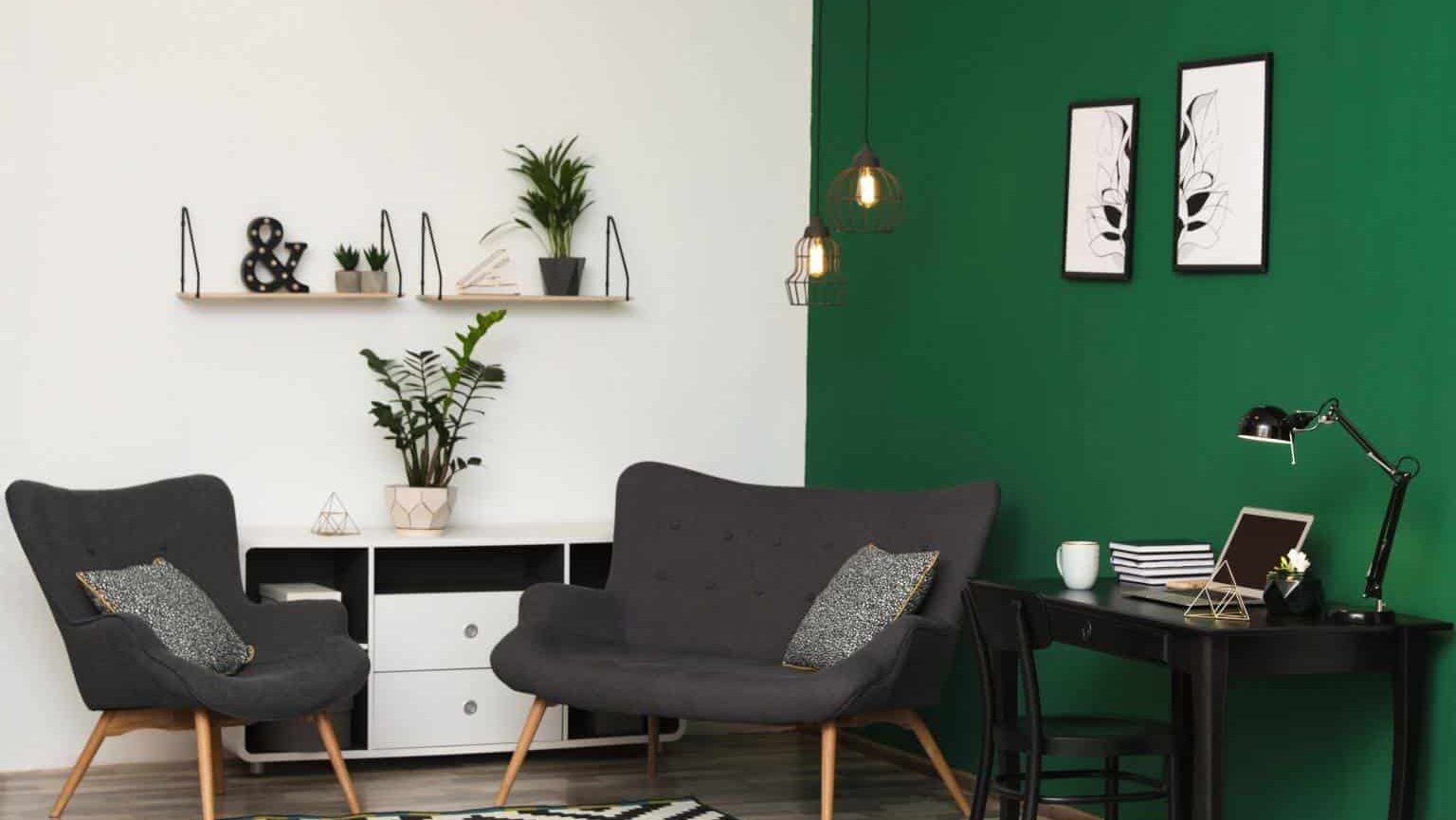 green and white living room with chair table and plant colour combination for hall