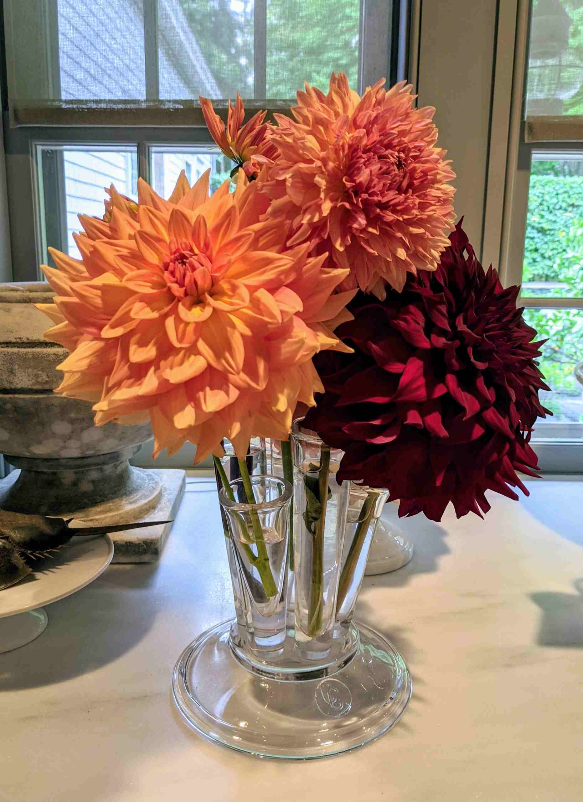 orange and red flowers in a pot on a table