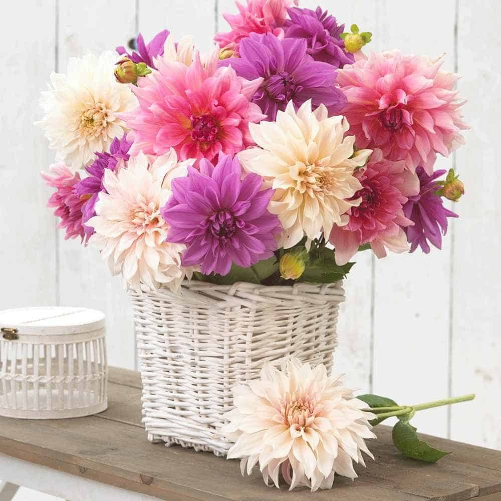 multicolored flowers in a white basket