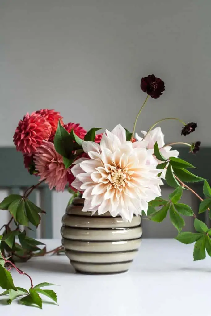 white and read flowers in a pot