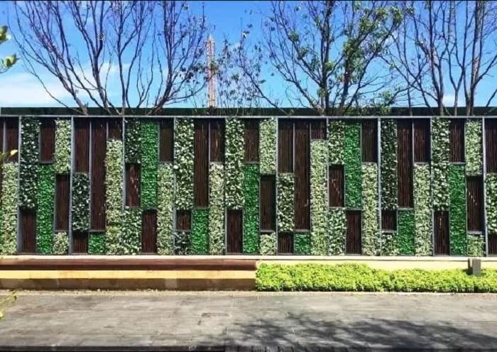 green wall of plants