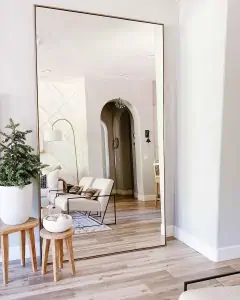 mirror with whit potted plant