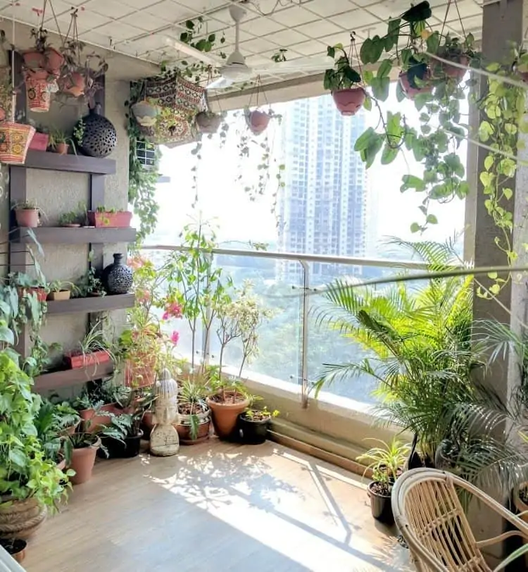 balcony with a green plant dispay and chairs