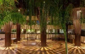 urban oasis with trees and their shadow effect
