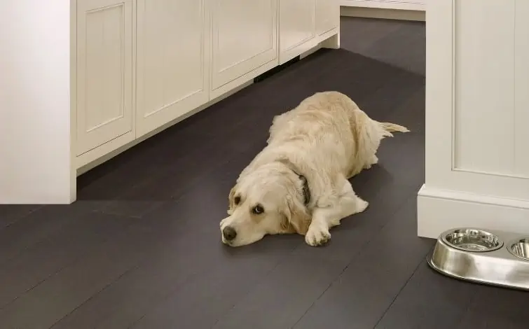 black wooden look vinyl flooring with dog, best durable flooring for pets