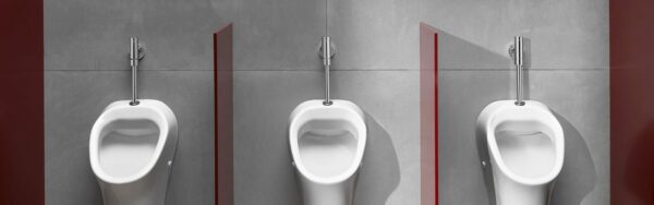 SCHELL exposed urinal flush valve – Schellomat Basic | Toilet fittings