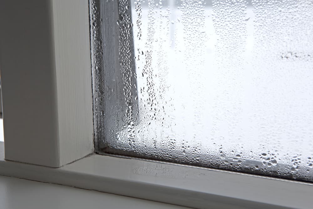 condensation in windows 