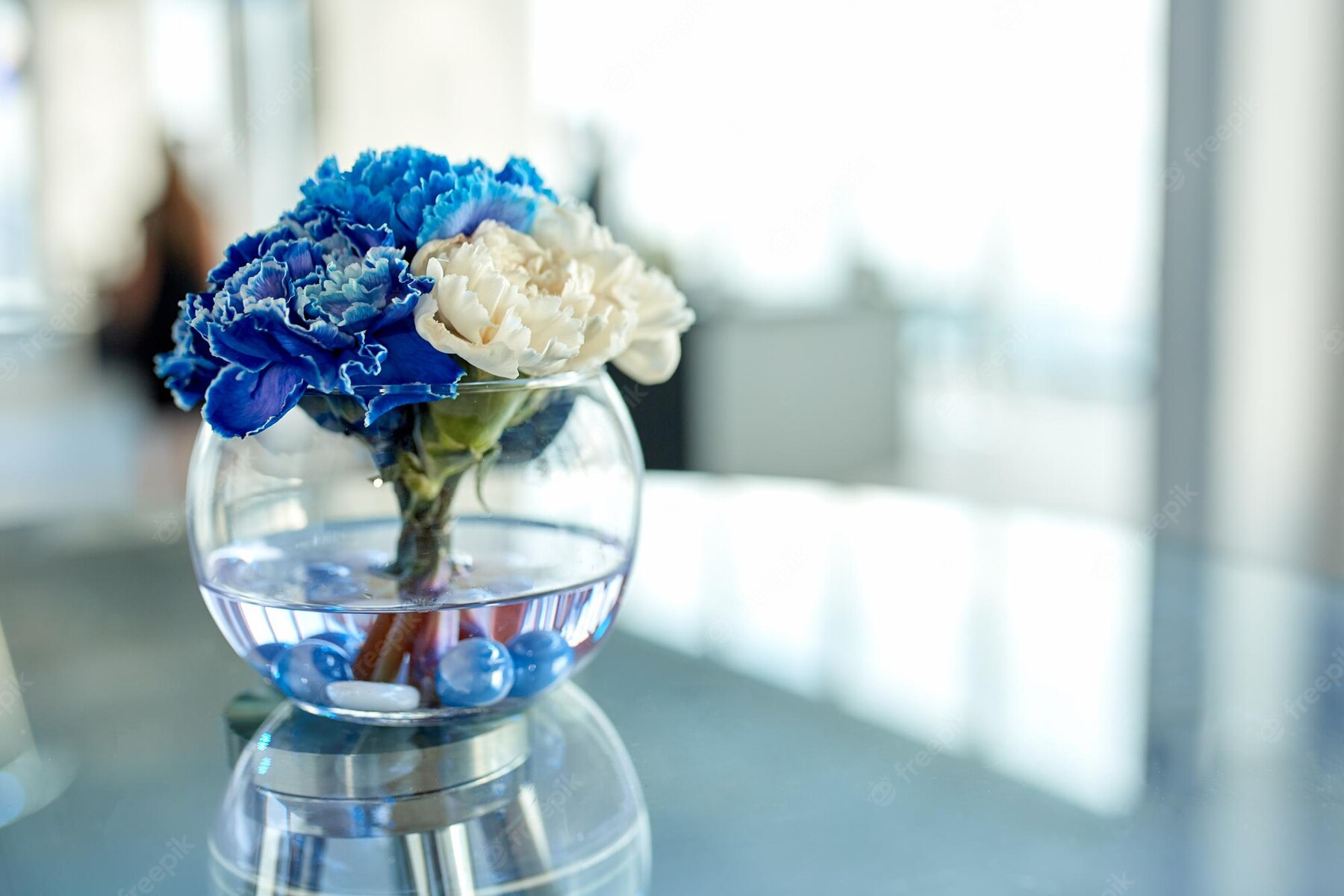 blue orchid flower in glass planter, blue petals, placed on table for room decor