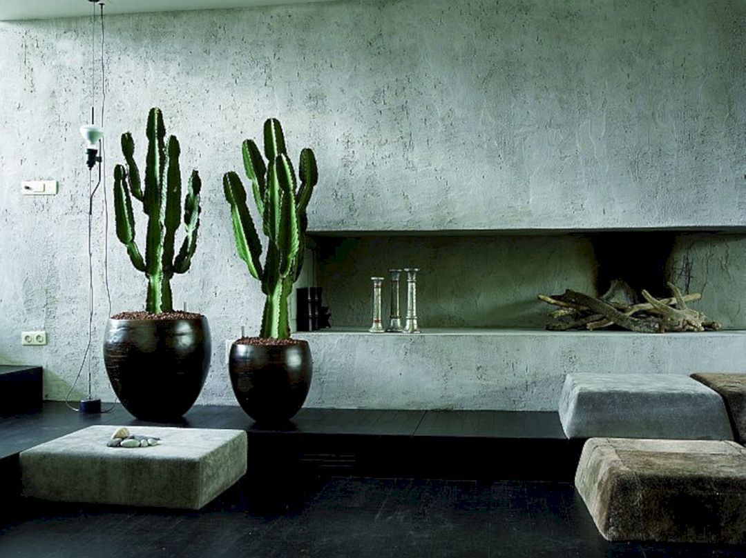 tall cacti, luxurious living room, furniture, decor