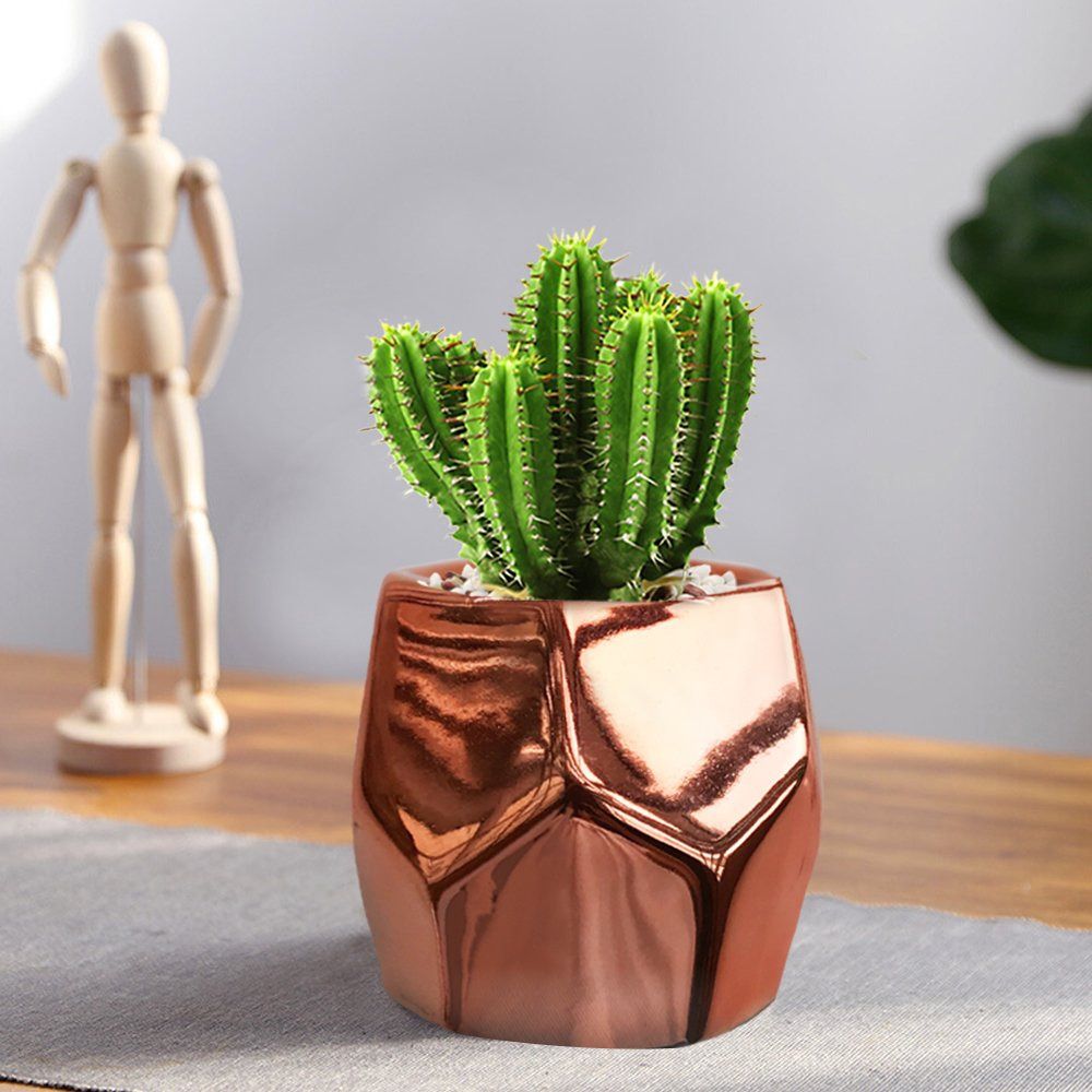 cacti planted in metal pot, placed on table, room decor