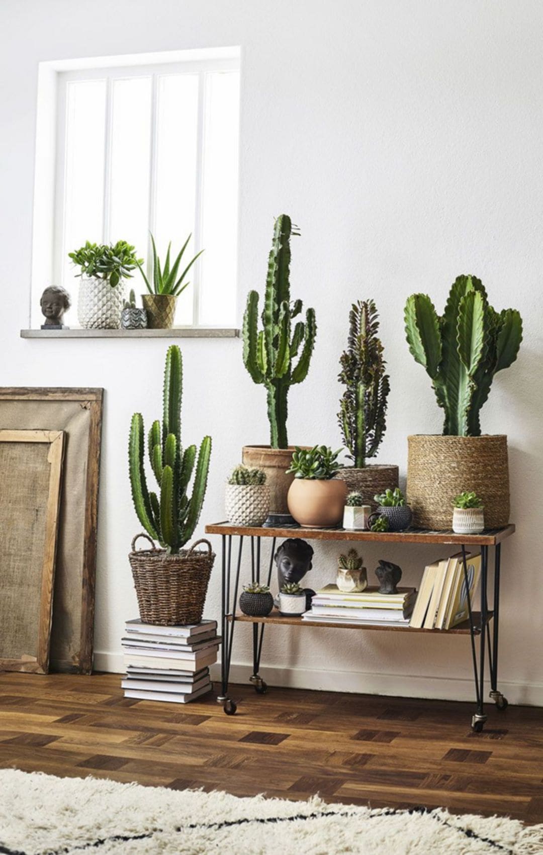 country style room decor, cacti for planters, placed on table