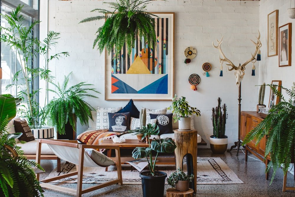 beautiful interior, indoor plants placed beside the sofa, wooden coffee table, artwork on the wall, white walls, rug on the floor