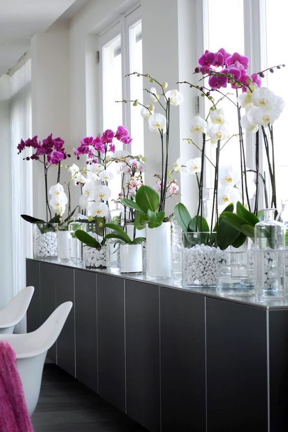 pink and white orchid flowers, placed in glass planters, arranged on a table for decor