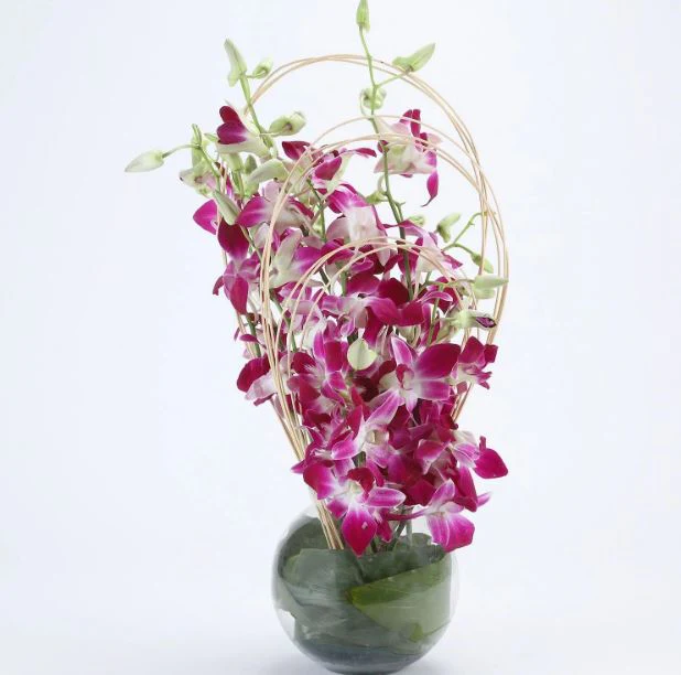 beautiful pink flowers, placed in a gl، planter