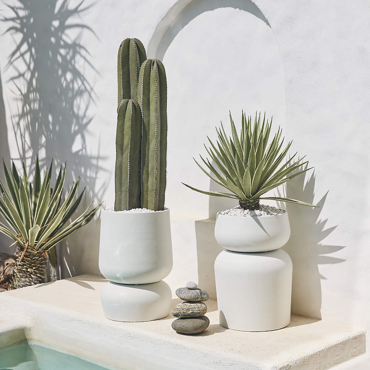 classic white metal vase, cactus