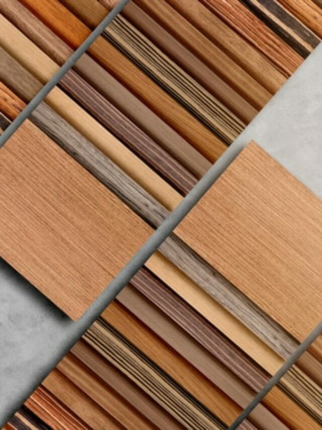 Laminate vs veneer_poster image