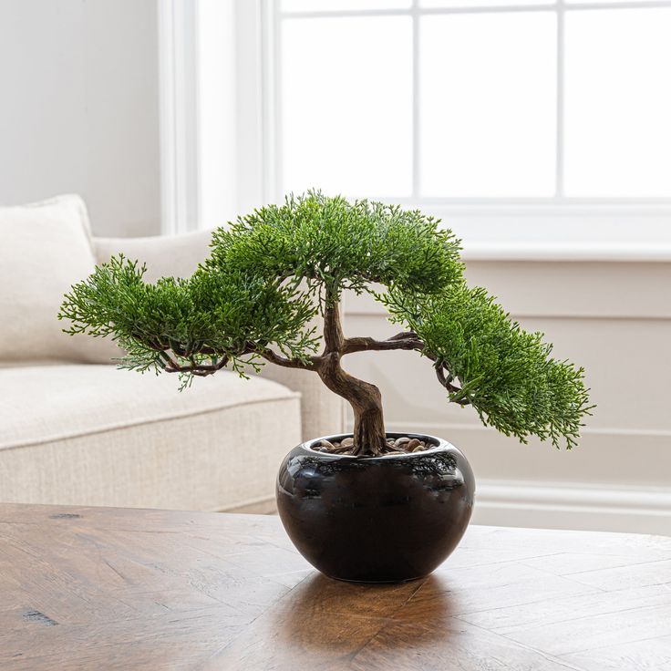 Decorative Bonsai Tree