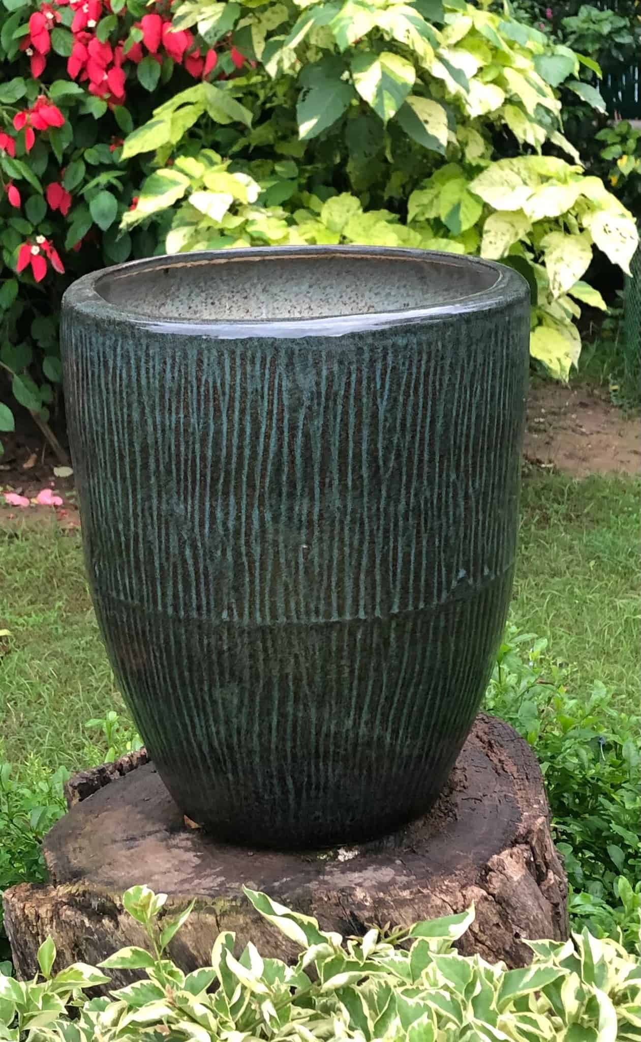 A dark coloured ceramic planter