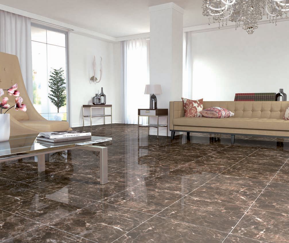 A vibrant marble flooring with furniture