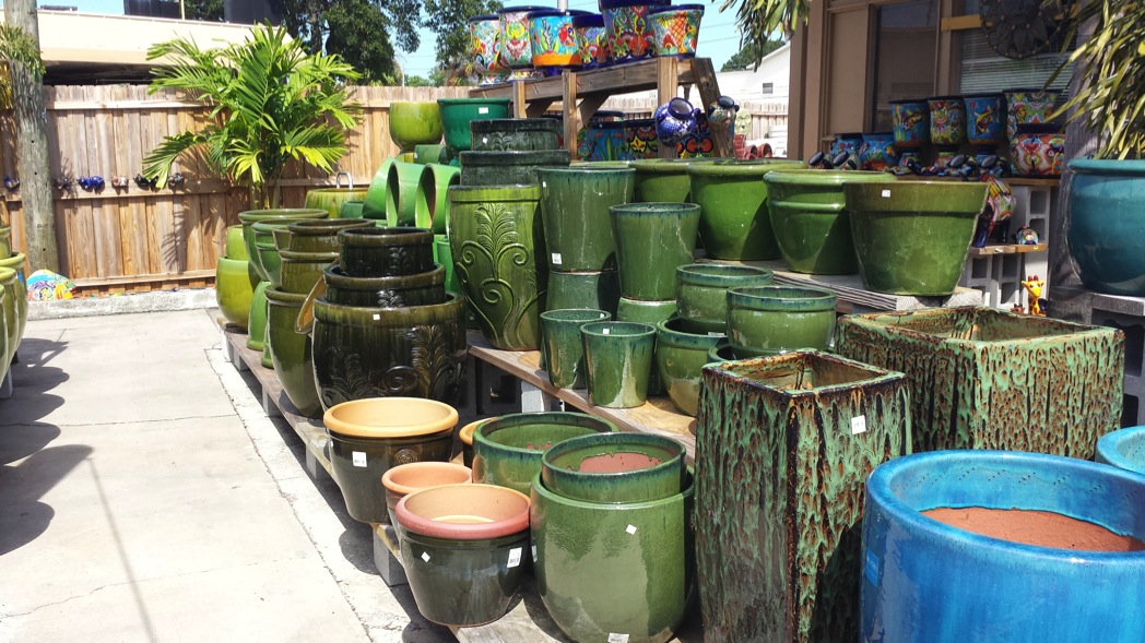 A collection of different plants in ceramic containers