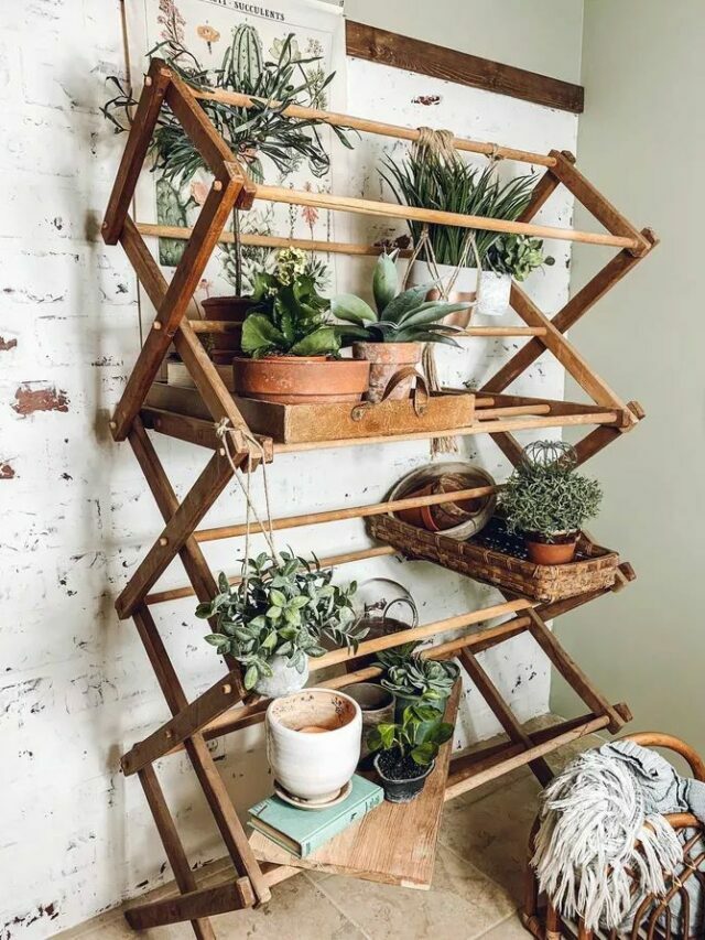 brown shelf with indoor planters