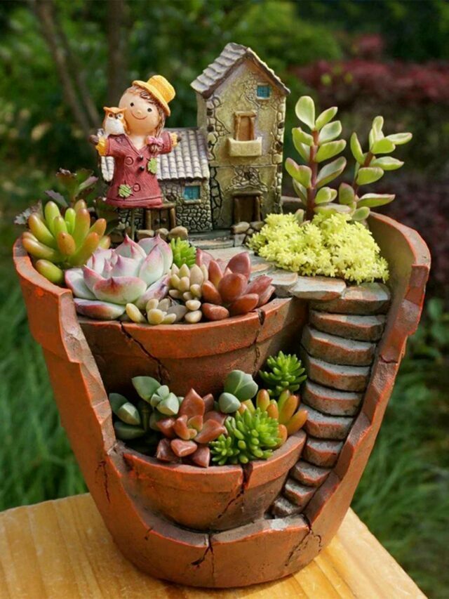 succulents in a planter on brown table