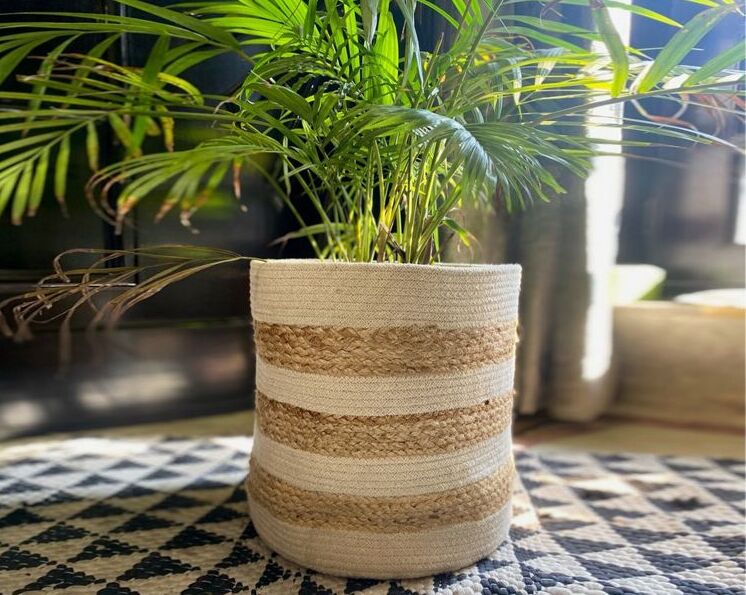 A white and brown jute container with a plant
