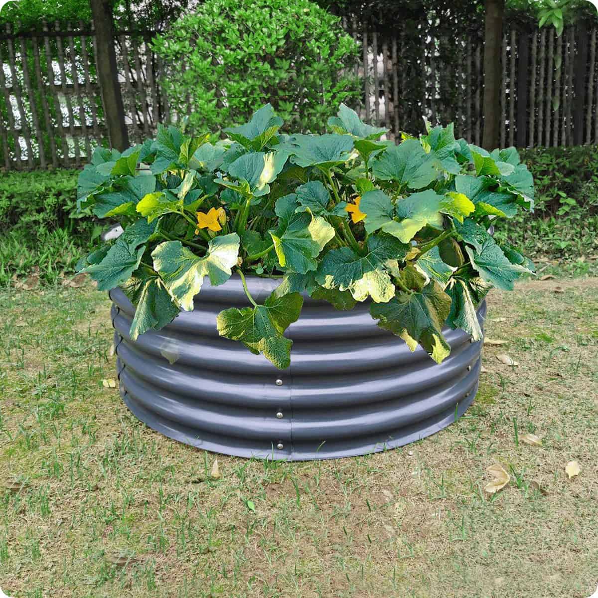 A round metal containerwith plants