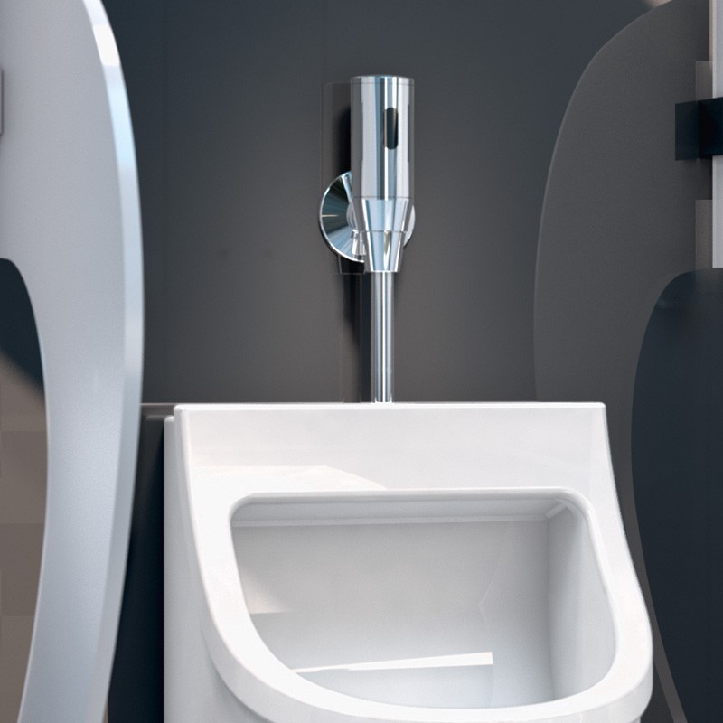white toilet with silver fittings