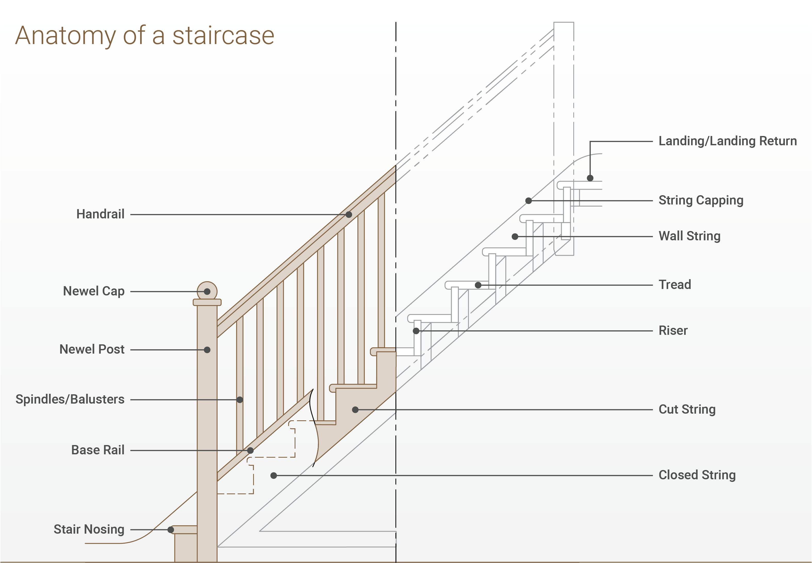 anatomy of steps 