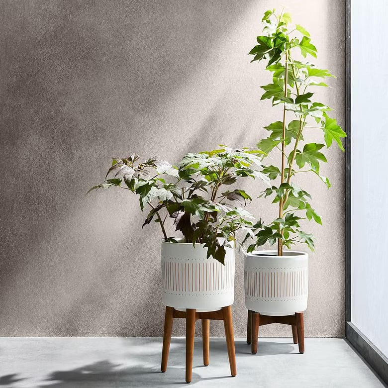Unique planters along a minimalist background