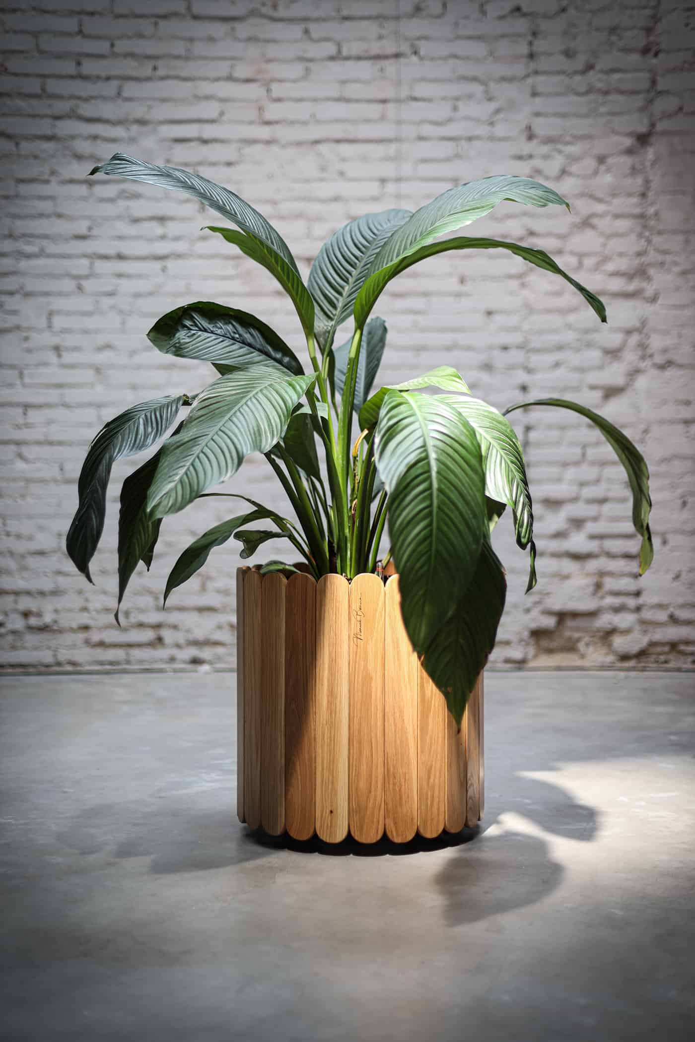 brown stained wooden planter with a plant