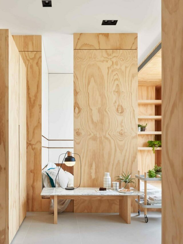 Plywood cabinets and partition