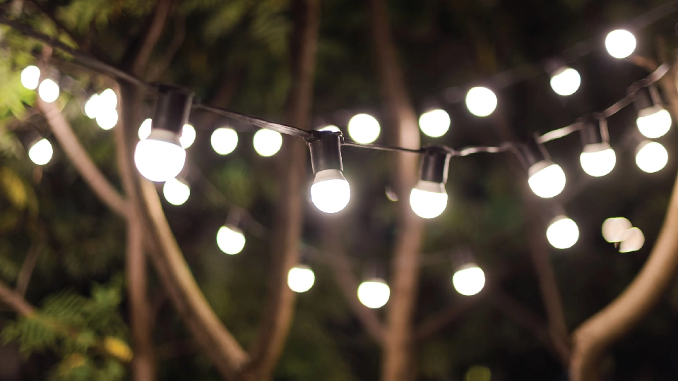 garden outdoor illumination