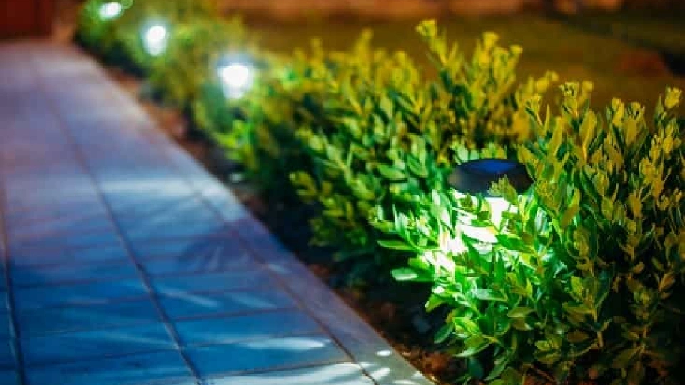 LED lights for garden 