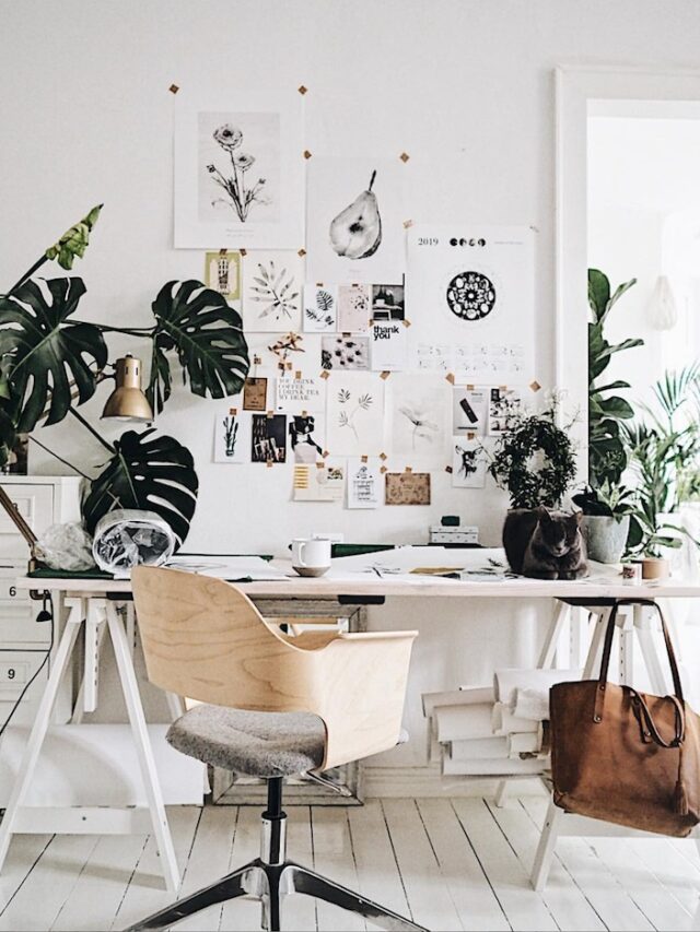 study room with indoor plants