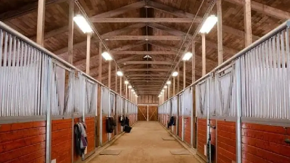 indoor sustainable illumination