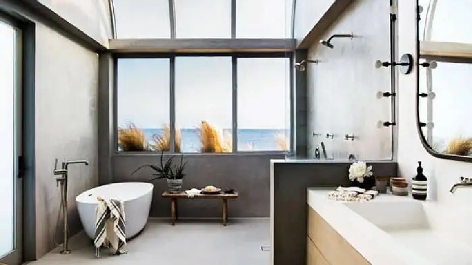 clear skylight for a simple bathroom