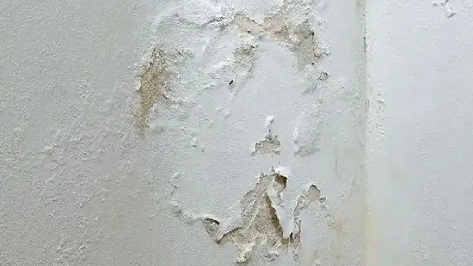Seepage and chipping walls