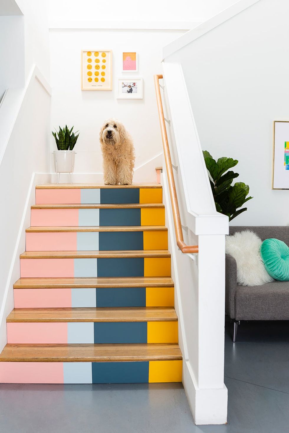 colourful tile riser, latest design of staircase, planter, all white, monochrome