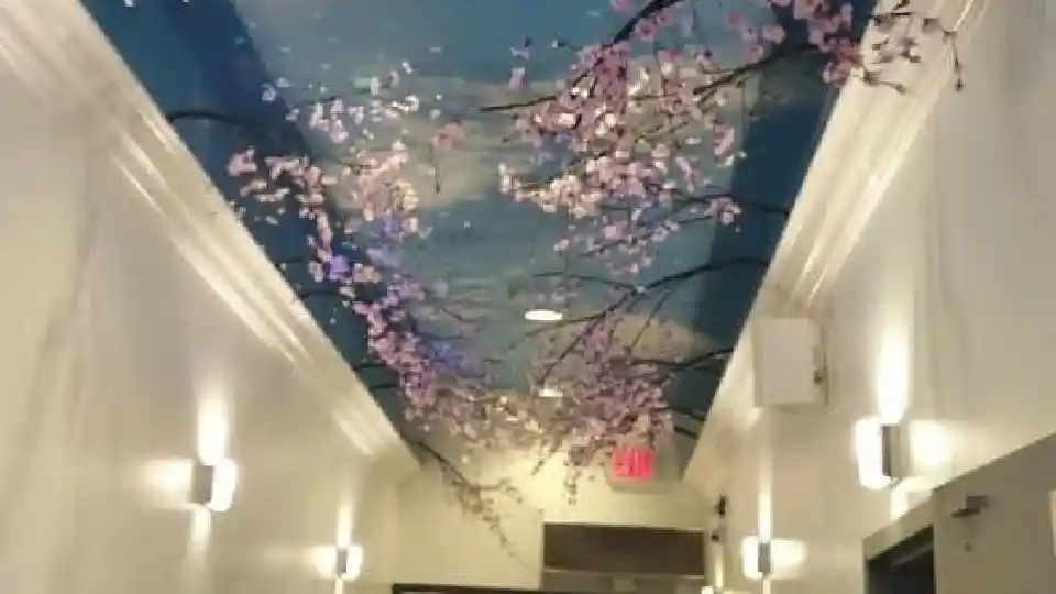 false ceiling wallpaper