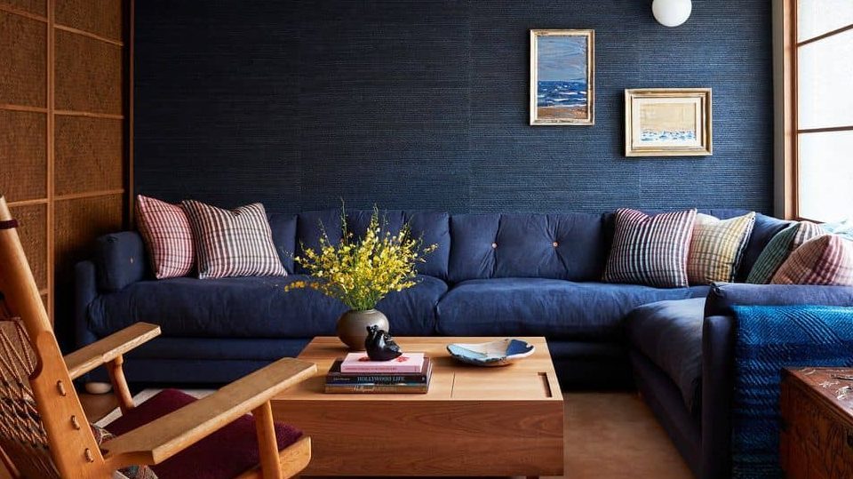 Navy blue and brown wall in hall with furniture